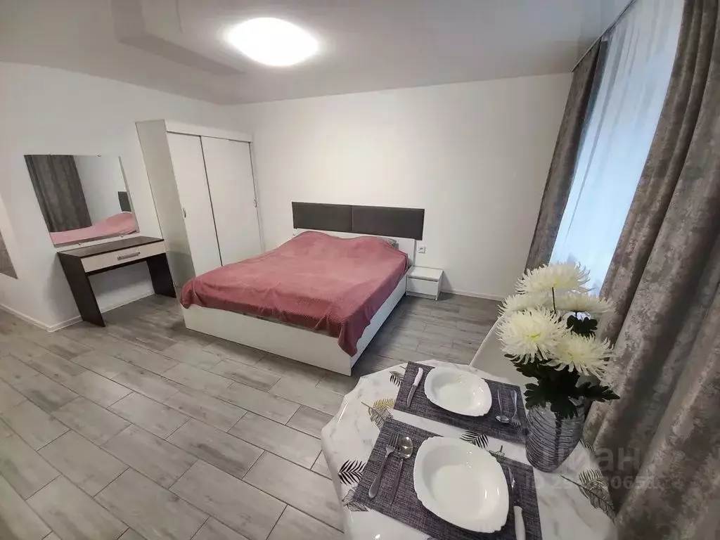 Студия Псковская область, Псков Рижский просп., 58 (28.0 м) - Фото 1