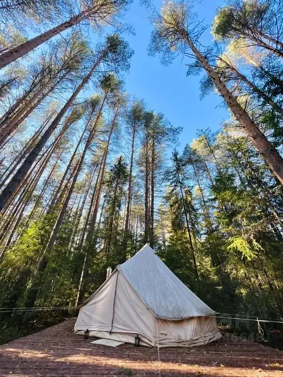 Дом в Архангельская область, Красноборский муниципальный округ, д. ... - Фото 2