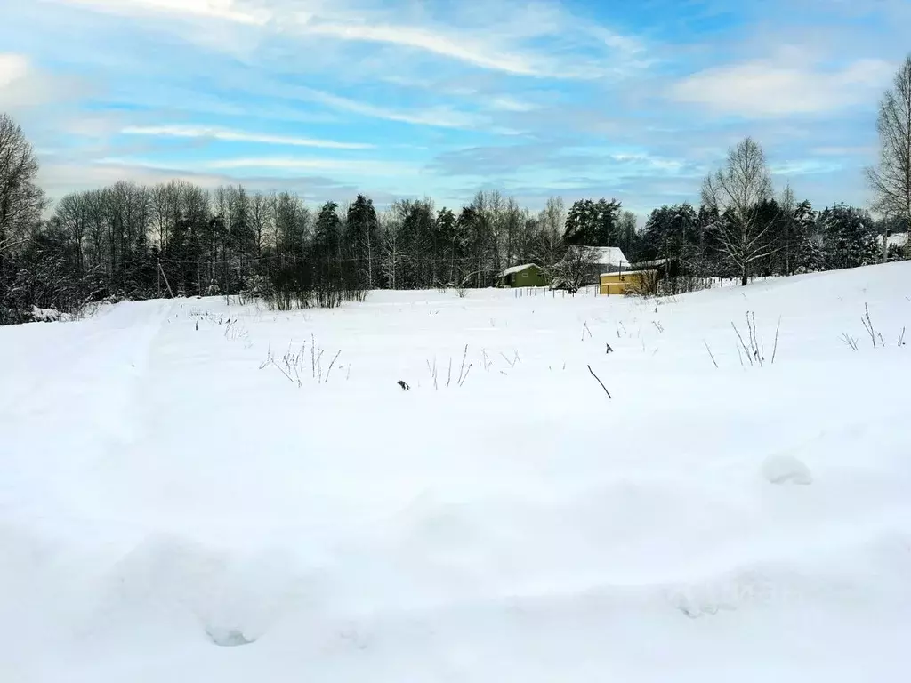 Участок в Московская область, Дмитровский муниципальный округ, Форест ... - Фото 1