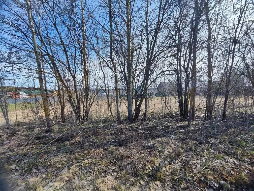 Участок в Московская область, Солнечногорск городской округ, д. ... - Фото 1