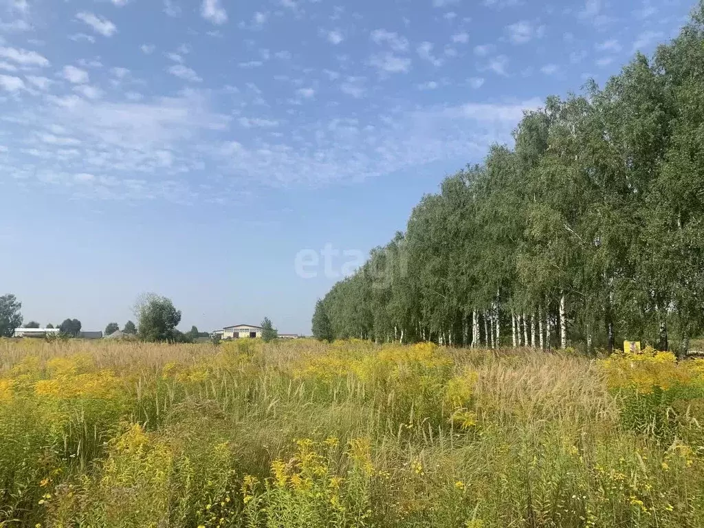 участок в брянская область, брянский район, добрунское с/пос, с. . - Фото 0