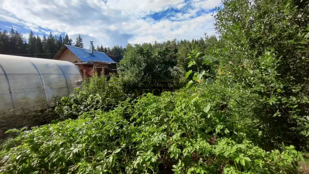 Дом в Ревда, садово-огородническое товарищество Солнечное (20 м) - Фото 0