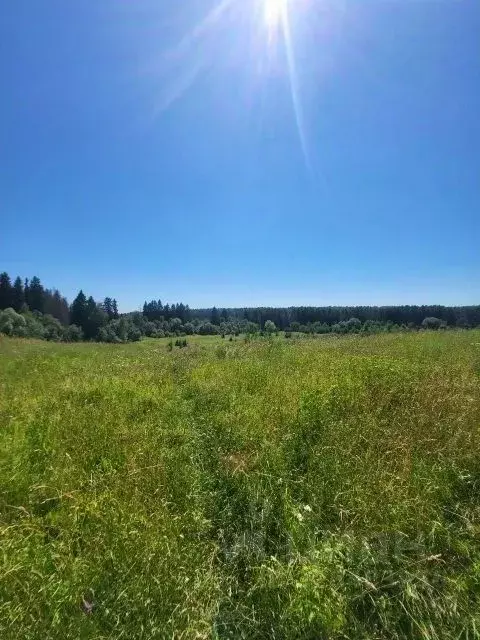 Дом в Московская область, Солнечногорск городской округ, д. Кривцово ... - Фото 2