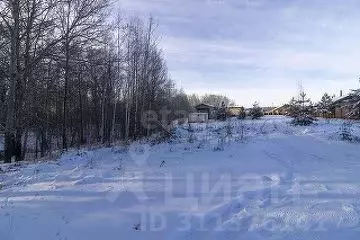 Участок в Тюменская область, Тюменский район, с. Перевалово, Перелада ... - Фото 0