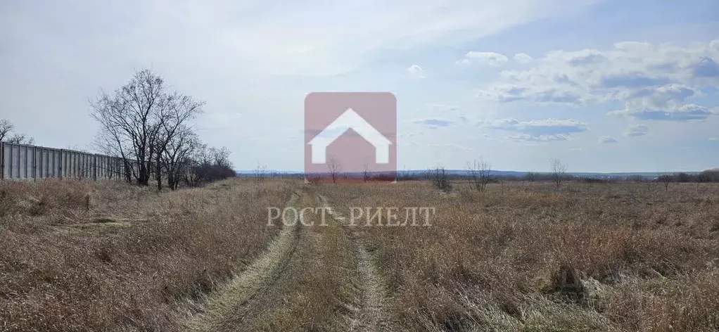 Участок в Саратовская область, Воскресенский район, Елшанское ... - Фото 0