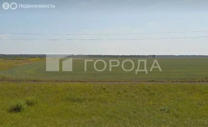 Участок в Новосибирский район, Верх-Тулинский сельсовет, ДНТ Берёзка, ... - Фото 1