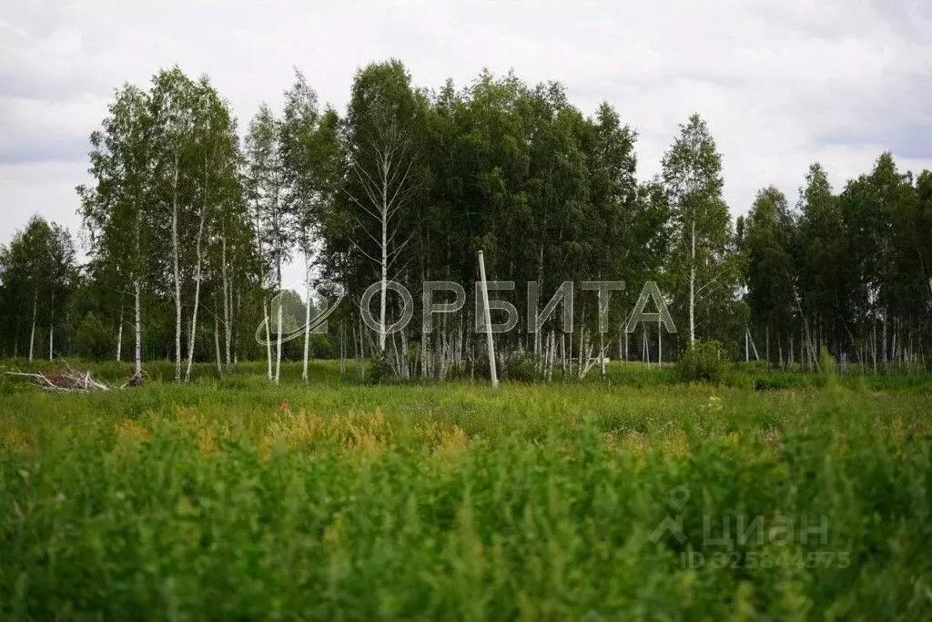 Участок в Тюменская область, Тюменский муниципальный округ, с. ... - Фото 1