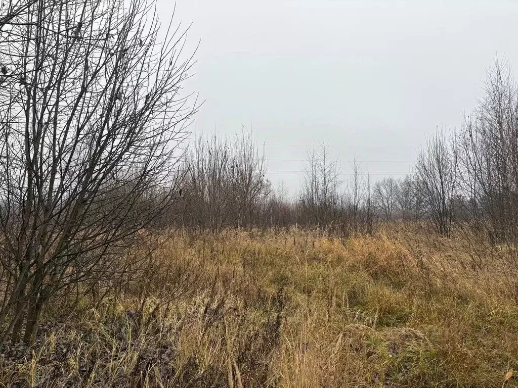 Участок в Московская область, Воскресенск городской округ, Имени ... - Фото 1