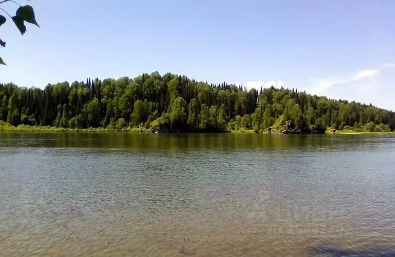 Участок в Алтай, Турочакский район, с. Озеро-Куреево Центральная ул. ... - Фото 0