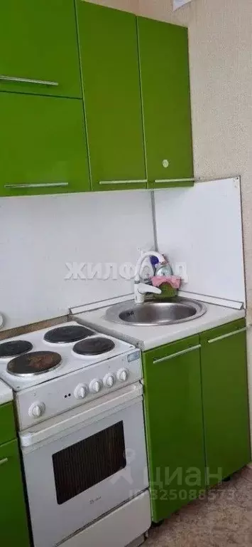 1-к кв. Новосибирская область, Новосибирск ул. Дмитрия Шмонина, 6 ... - Фото 2