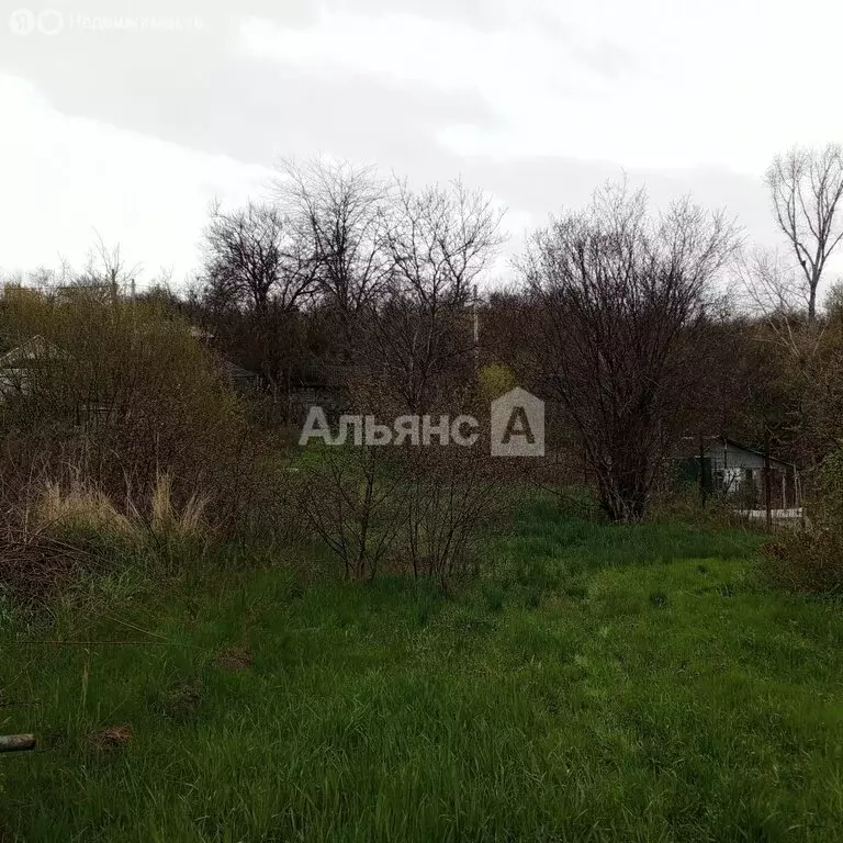 Участок в Белая Калитва, СНТ Садовод (6.7 м) - Фото 2