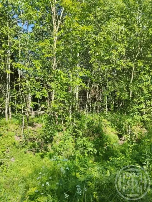 Дом в Ленинградская область, Всеволожский район, Лесколовское с/пос, ... - Фото 2