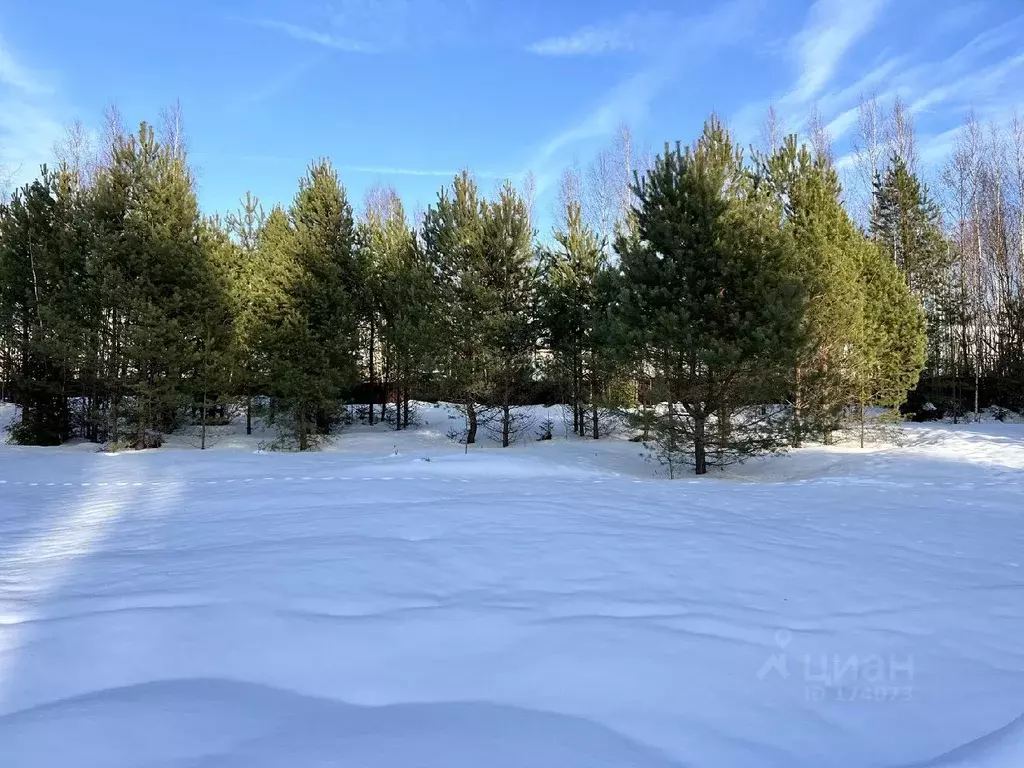 Участок в Московская область, Солнечногорск городской округ, д. ... - Фото 1