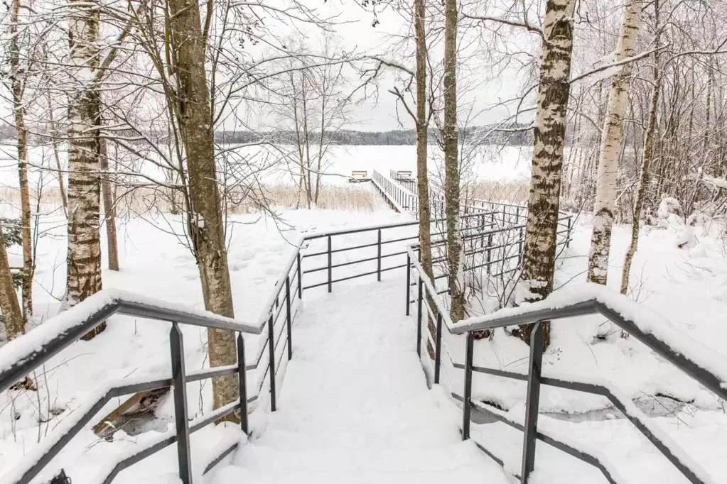 Участок в Ленинградская область, Выборгский район, Первомайское с/пос, ... - Фото 2