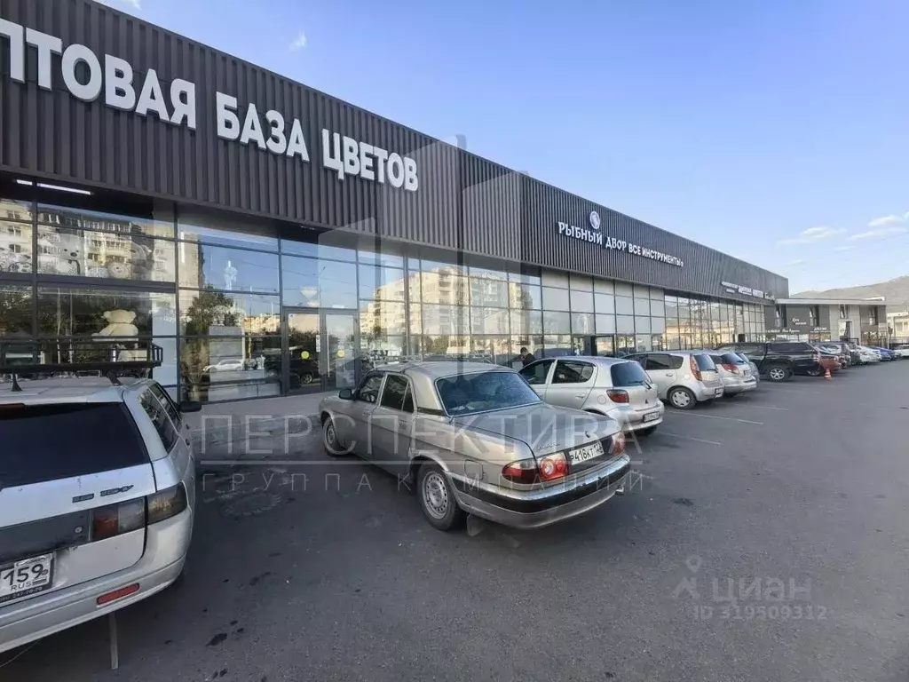 Помещение свободного назначения в Краснодарский край, Новороссийск ... - Фото 0