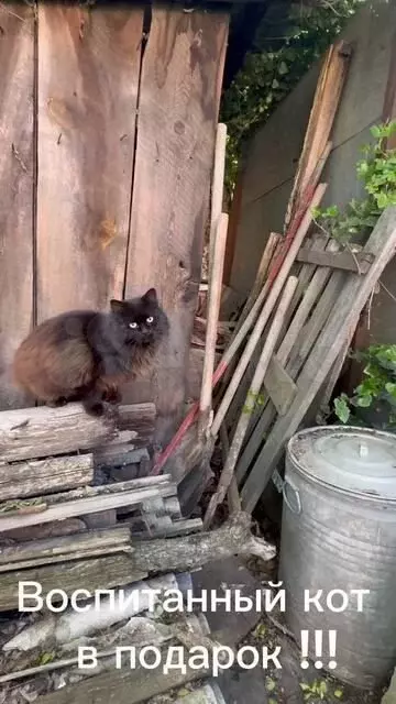 Участок 5,5 сот. (ИЖС) - Фото 1