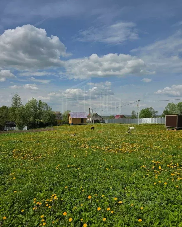 Участок в Московская область, Сергиево-Посадский городской округ, д. ... - Фото 1