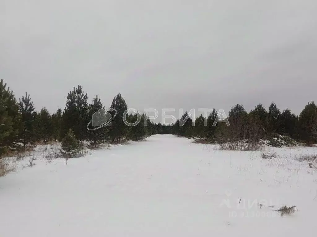 Участок в Тюменская область, Нижнетавдинский район, с. Тюнево  (10.0 ... - Фото 1