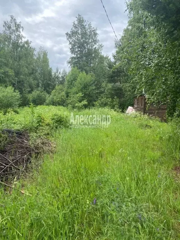 Участок в Ленинградская область, Приозерский район, Севастьяновское ... - Фото 1