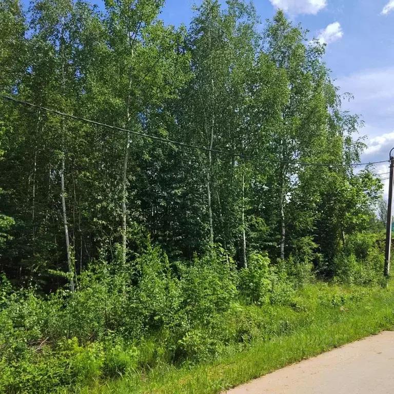 Участок в Московская область, Одинцовский городской округ, д. Сивково, ... - Фото 1