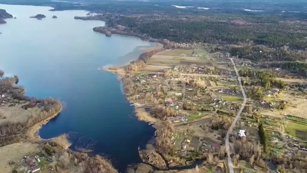 Участок в Ленинградская область, Приозерский район, Мельниковское ... - Фото 1