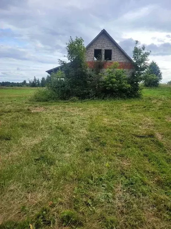 Участок в Псковская область, Гдовский муниципальный округ, д. ... - Фото 1
