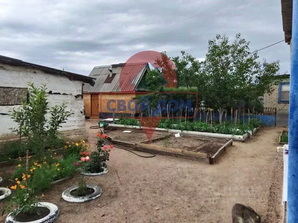 Дом в Оренбургская область, пос. Новоорск ул. Элеваторная (55 м) - Фото 2
