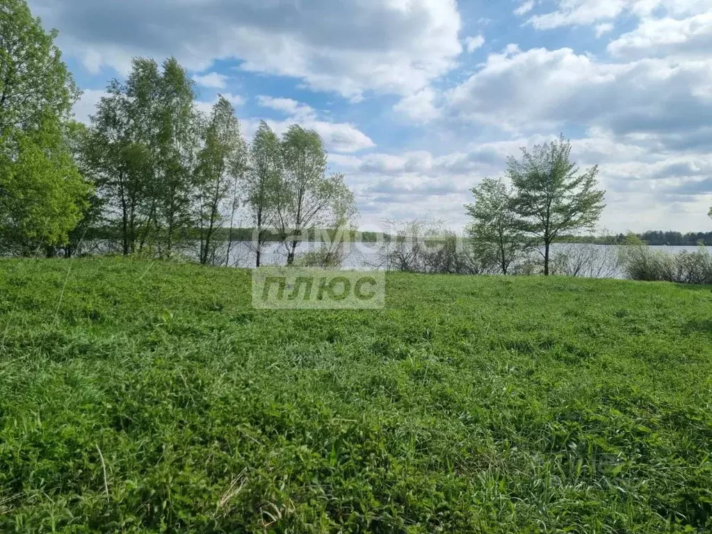 Участок в Московская область, Можайский городской округ, д. ... - Фото 1