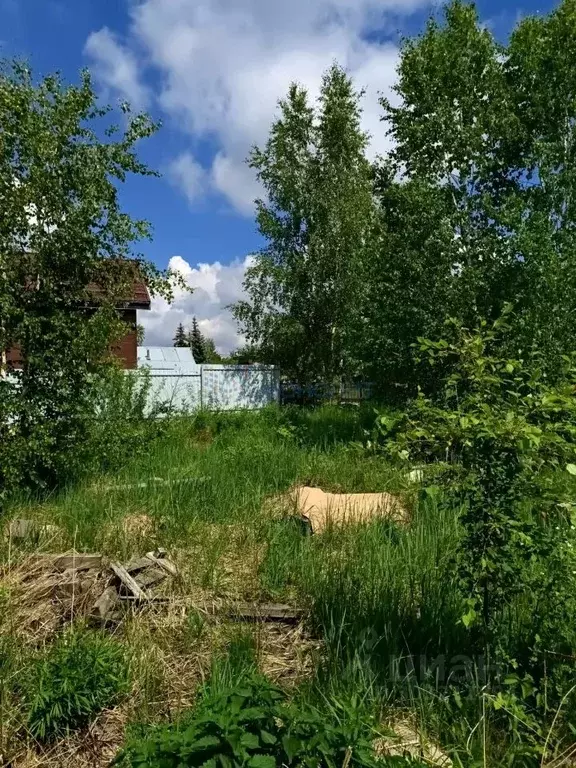 Участок в Нижегородская область, Кстовский муниципальный округ, с. ... - Фото 0