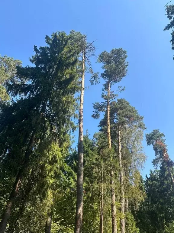 Участок в Московская область, Одинцовский городской округ, пос. ... - Фото 1