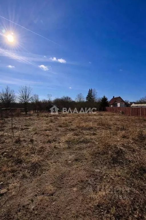 Участок в Нижегородская область, Богородский муниципальный округ, с. ... - Фото 1