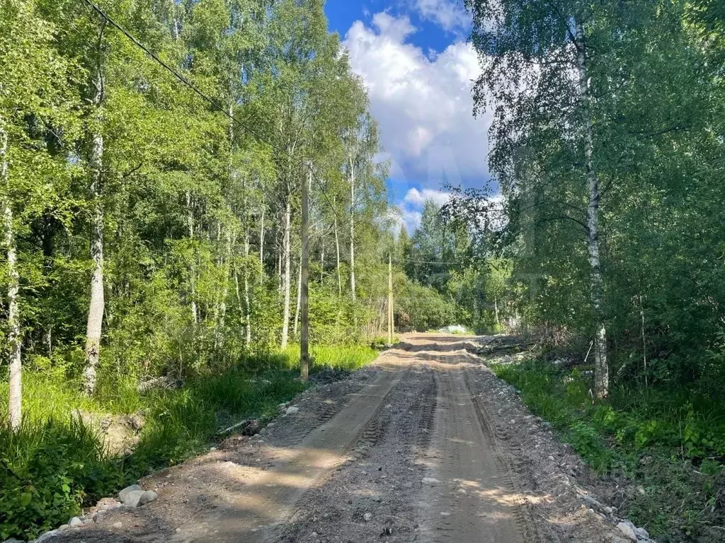 Участок в Ленинградская область, Приозерское городское поселение, пос. ... - Фото 1