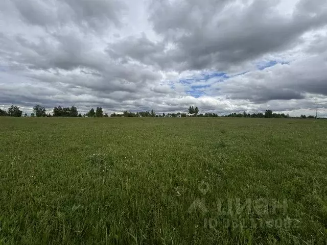 Участок в Московская область, Воскресенск городской округ, д. ... - Фото 1