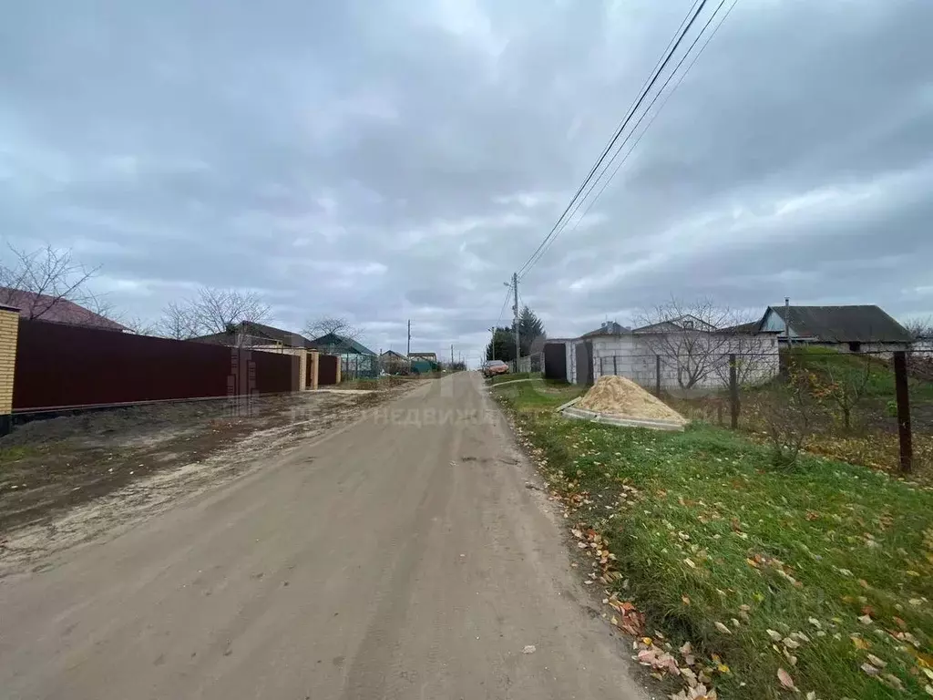 Участок в Воронежская область, Рамонский район, с. Новоживотинное ул. ... - Фото 1