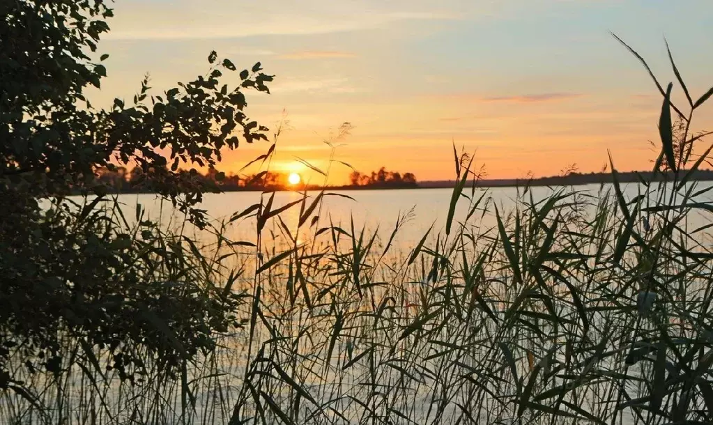 Участок в Новгородская область, Мошенской район, д. Броди  (20.0 сот.) - Фото 0