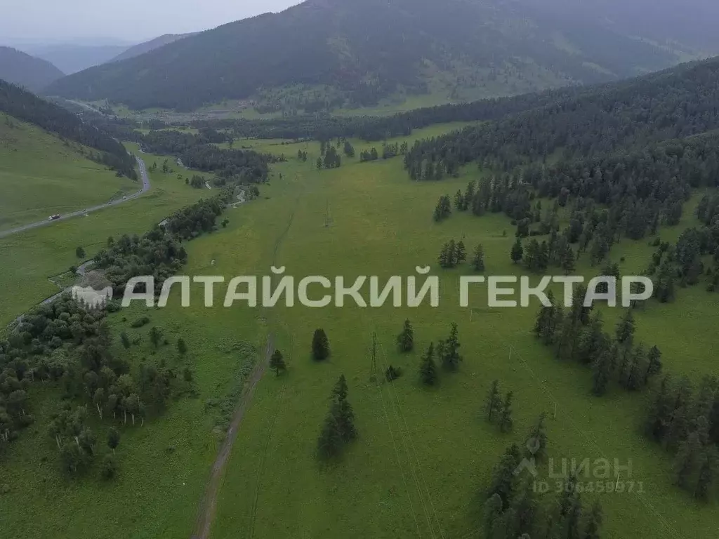 Участок в Алтай, Шебалинский район, с. Кумалыр 3 (5.0 сот.) - Фото 0