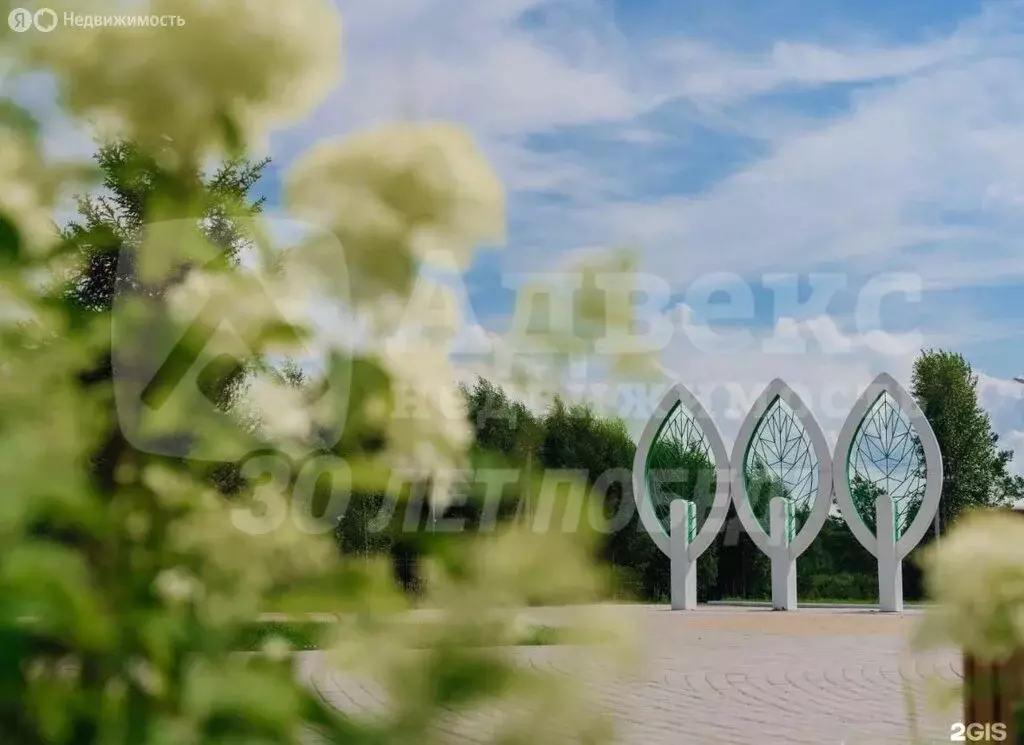 Участок в Тюменская область, Вагайский муниципальный округ, Шестовское ... - Фото 2