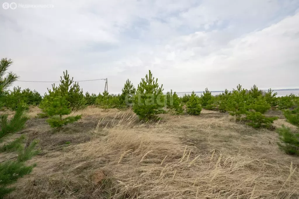 Участок в Тукаевский район, Биюрганское сельское поселение, деревня ... - Фото 1