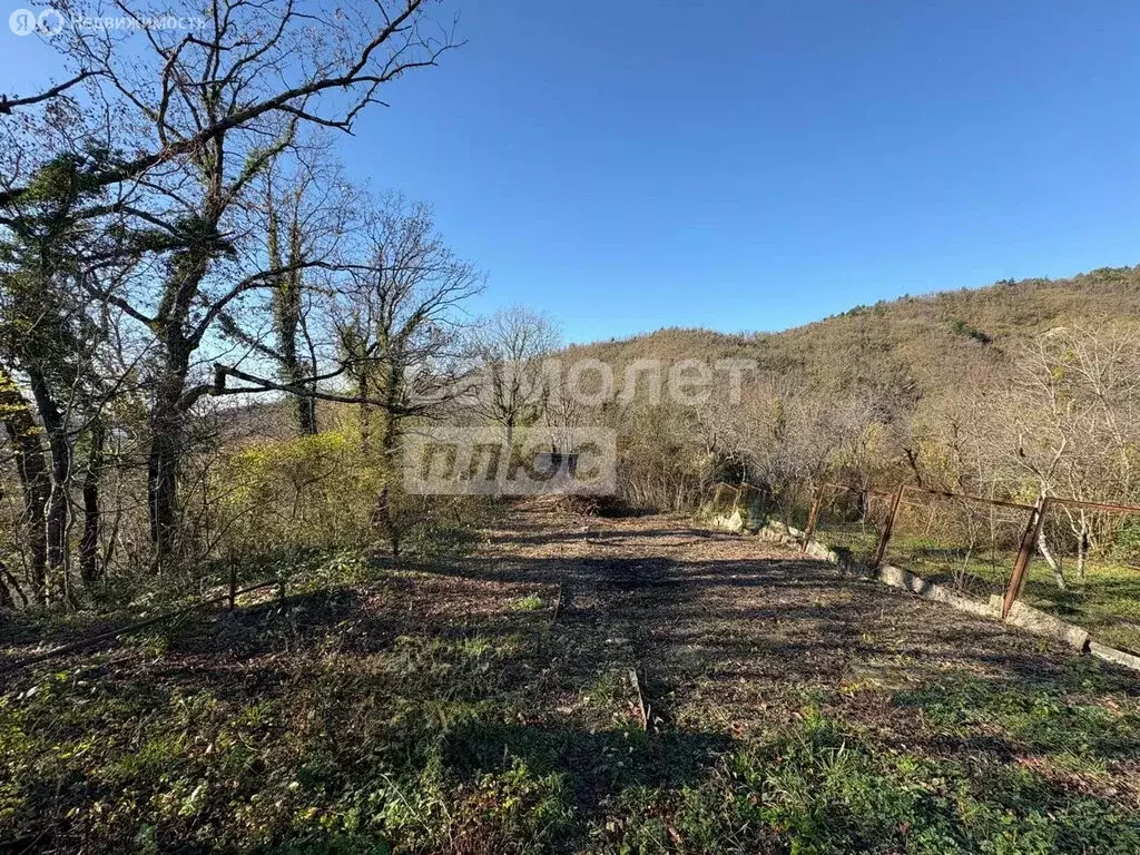 Участок в Краснодарский край, Туапсинский муниципальный округ, СТ Заря ... - Фото 2