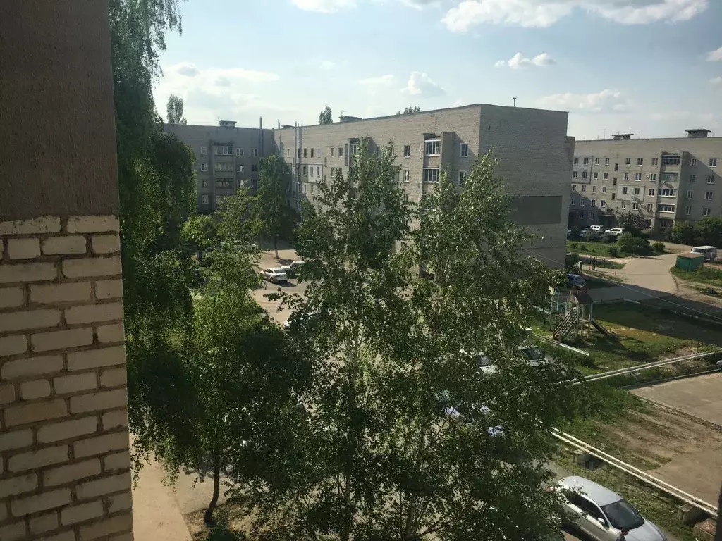 3-к кв. Тамбовская область, Мичуринск ул. 7 Ноября, 43 (60.0 м) - Фото 1