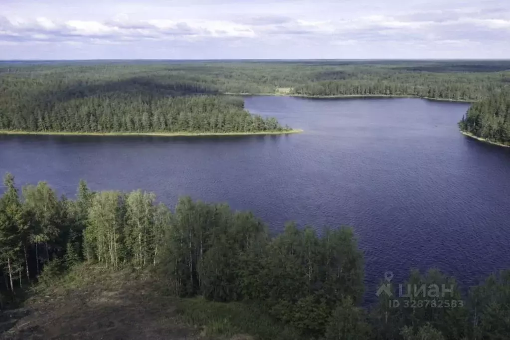 Участок в Карелия, Суоярвский муниципальный округ, пос. Лоймола  (15.0 ... - Фото 2