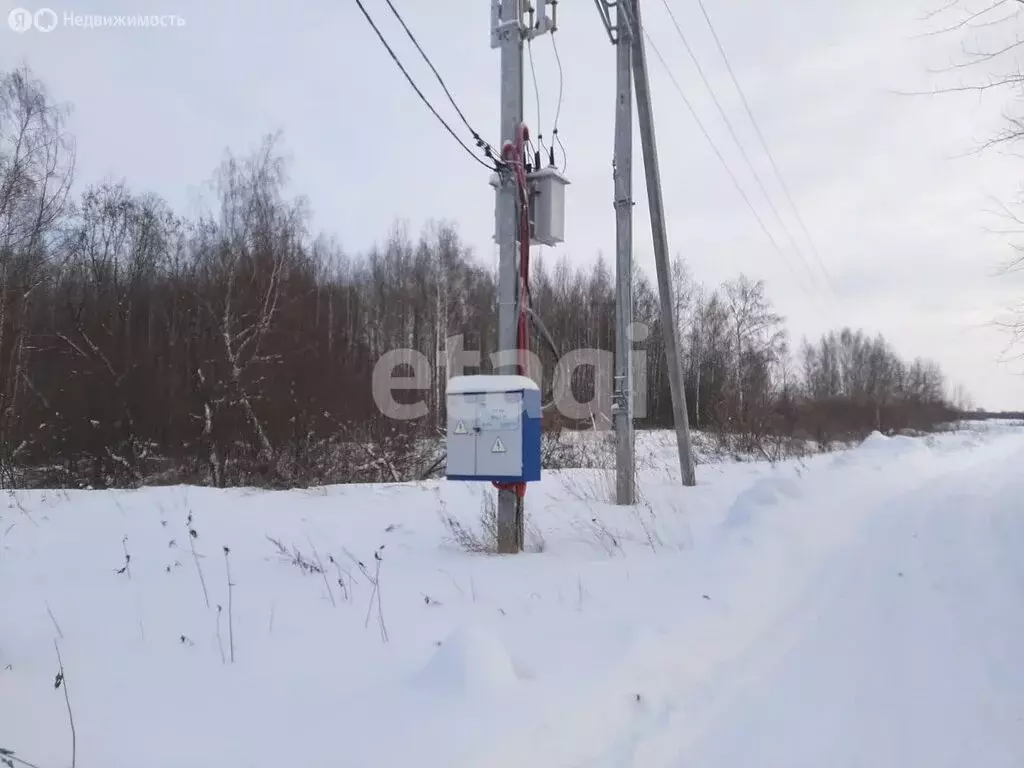 Участок в Костромской район, Шунгенское сельское поселение, село Шунга ... - Фото 1