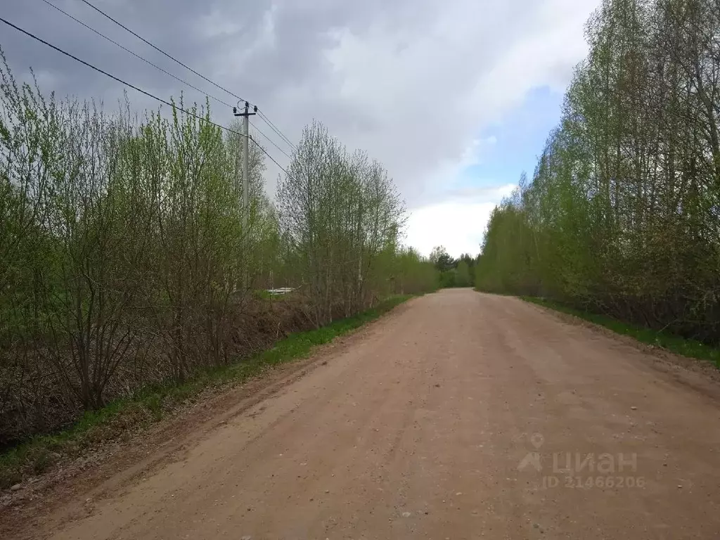 Участок в Новгородская область, Новгородский район, Савинское с/пос, ... - Фото 1