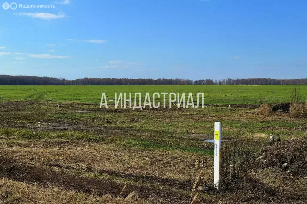 Участок в посёлок Ганусово, 46 (402 м) - Фото 1