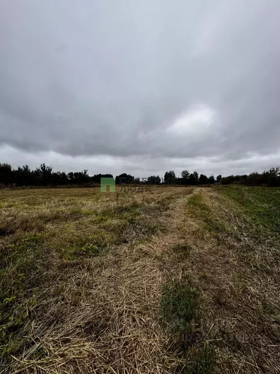 Участок в Орловская область, Орловский район, с. Лаврово Спортивная ... - Фото 2