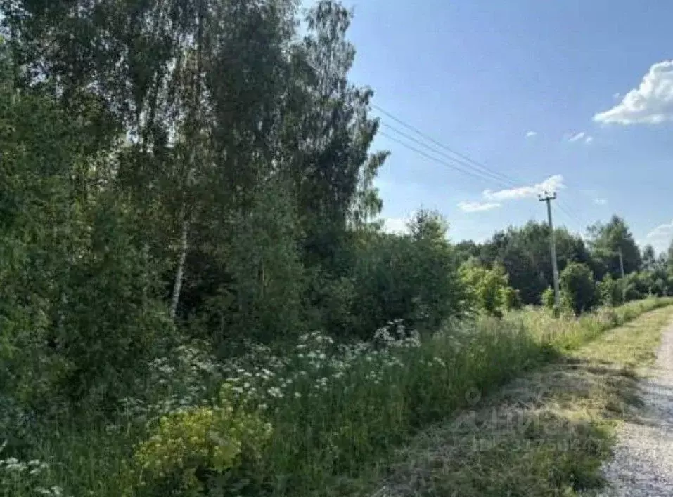 Участок в Московская область, Коломна городской округ, д. Каблучки  ... - Фото 1
