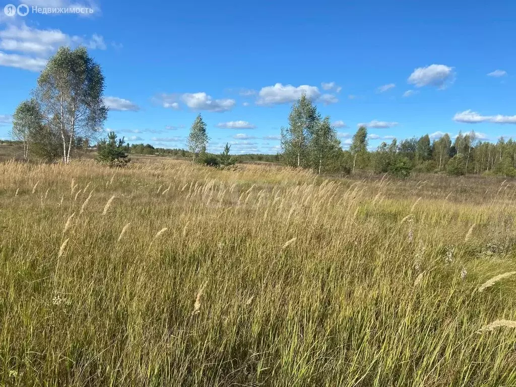 Участок в Республика Марий Эл, Килемарский муниципальный округ, ... - Фото 1