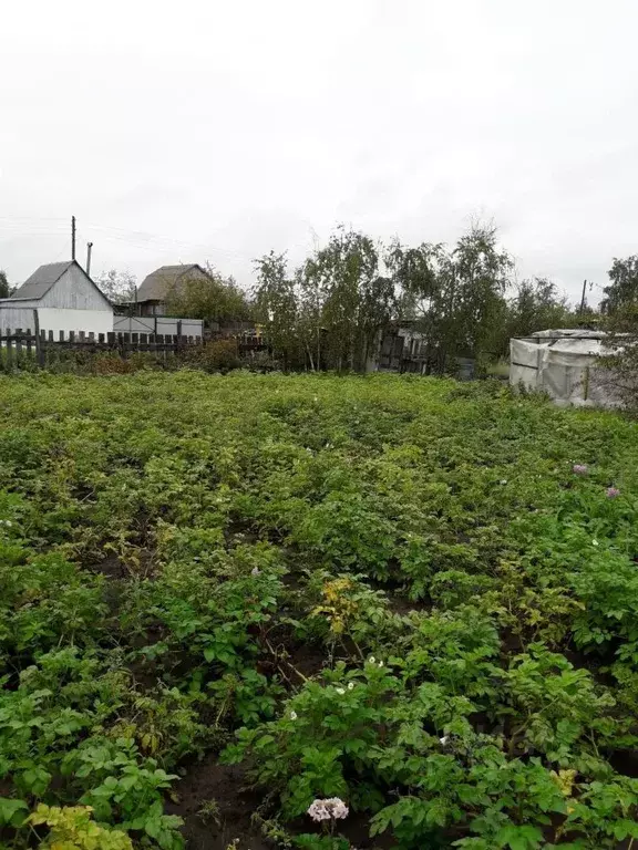 Участок в Саха (Якутия), Якутск ул. Ойунского, 8 (12.0 сот.) - Фото 0