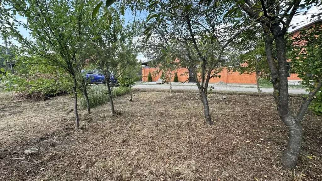 Участок в Адыгея, Майкоп городской округ, Гавердовский хут. ул. ... - Фото 1