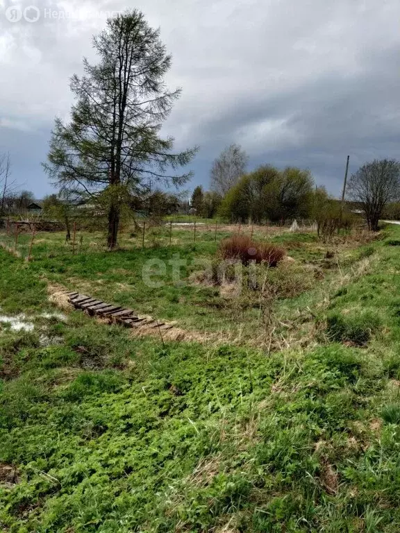 Участок в Вологодская область, Шекснинский муниципальный округ, ... - Фото 2